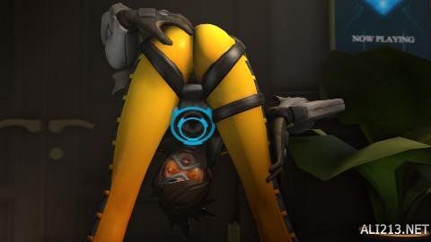 早期香港训 早期香港训