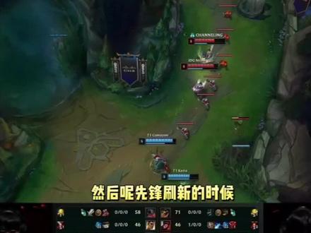 康复与训练 康复与训练