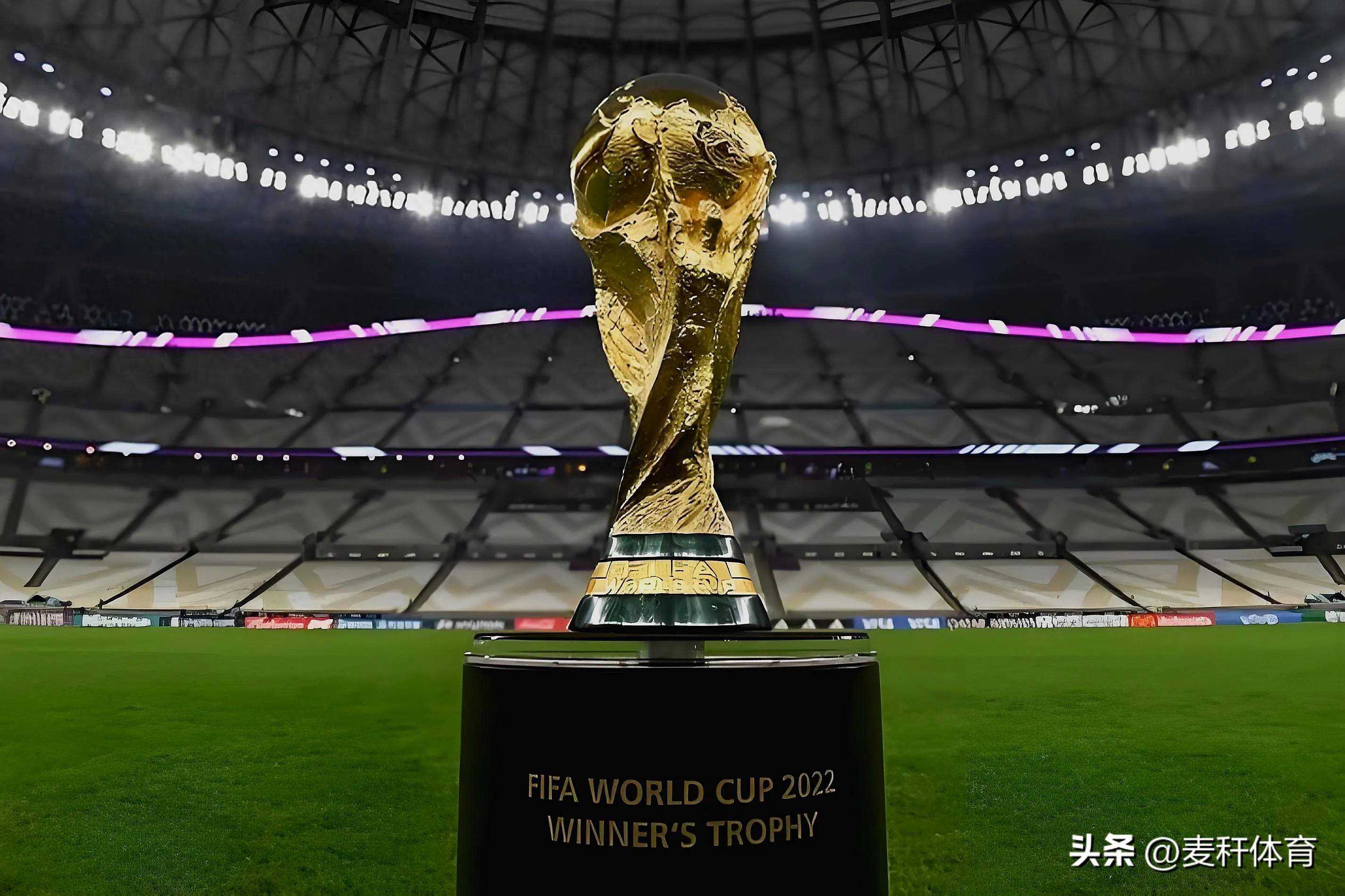 球迷欢呼 球迷欢呼