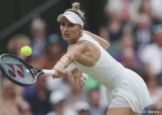 明的象征物 明的象征物